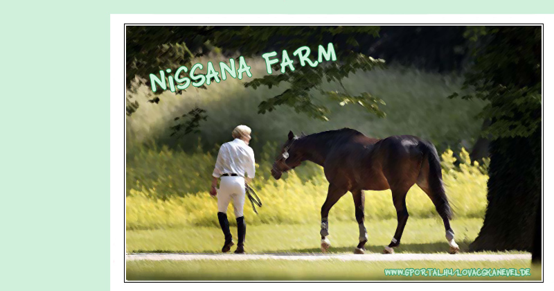 --Nissana Farm -- Ltenyszts szakszeren--